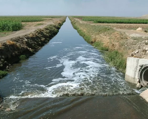 drainage